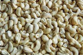 Buying Cashew Nuts For Sale